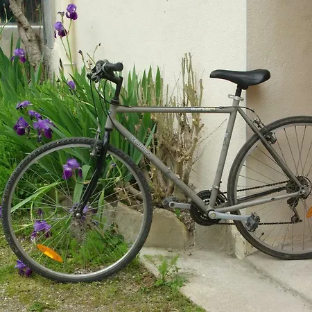 Le Du Poisson Roy * Navarrenx