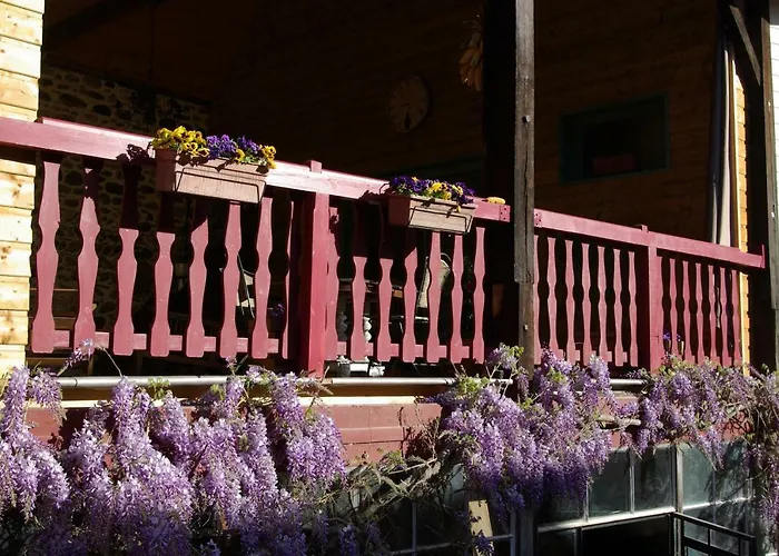 Feriehus Le Du Poisson Roy Navarrenx