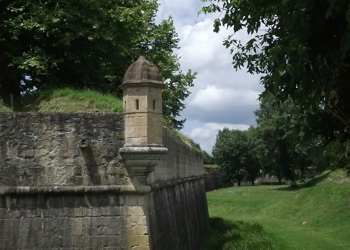 Le Du Poisson Roy * Navarrenx