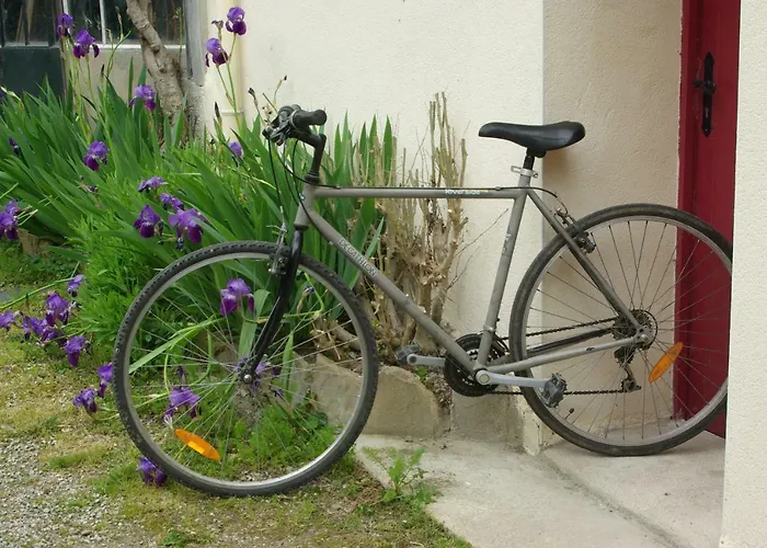 Le Du Poisson Roy * Navarrenx