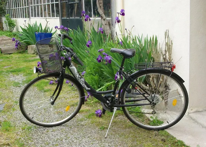 Le Du Poisson Roy Feriehus *