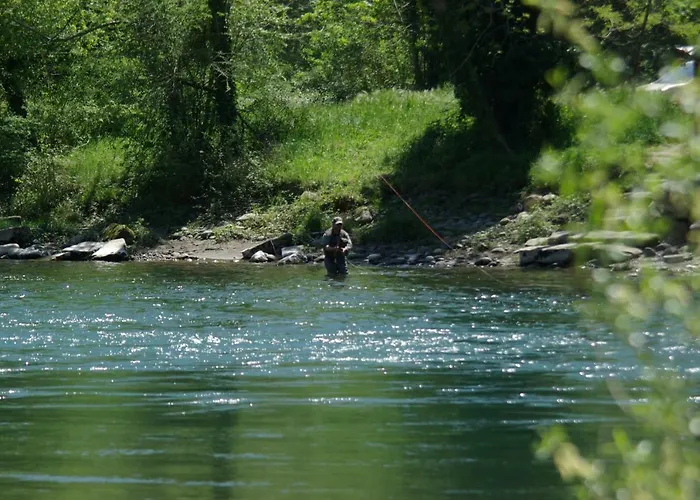 Le Du Poisson Roy Feriehus